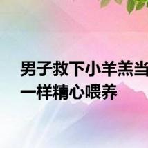 男子救下小羊羔当孩子一样精心喂养