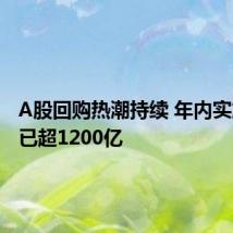 A股回购热潮持续 年内实施金额已超1200亿
