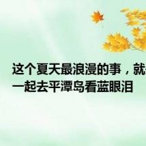这个夏天最浪漫的事,就是和你一起去平潭岛看蓝眼泪