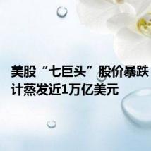 美股“七巨头”股价暴跌 市值预计蒸发近1万亿美元