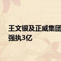 王文银及正威集团等被强执3亿