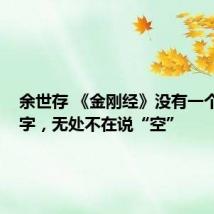 余世存 《金刚经》没有一个“空”字,无处不在说“空”