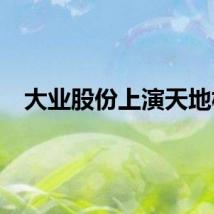 大业股份上演天地板