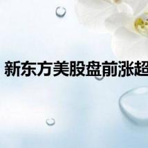 新东方美股盘前涨超3%