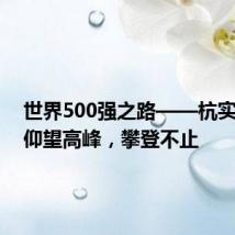 世界500强之路——杭实集团:仰望高峰,攀登不止