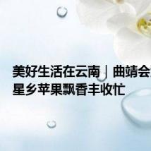 美好生活在云南|曲靖会泽县五星乡苹果飘香丰收忙