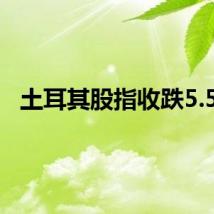 土耳其股指收跌5.5%