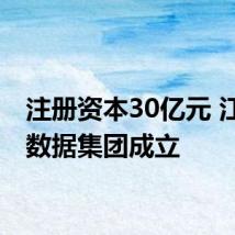 注册资本30亿元 江苏省数据集团成立