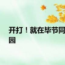 开打！就在毕节同心公园
