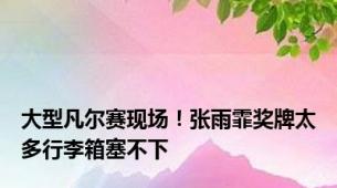 大型凡尔赛现场！张雨霏奖牌太多行李箱塞不下