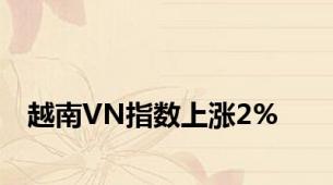 越南VN指数上涨2%