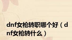 dnf女枪转职哪个好（dnf女枪转什么）