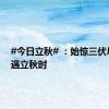 #今日立秋# ：始惊三伏尽，又遇立秋时