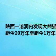 陕西一溶洞内发现大熊猫化石,距今20万年至距今1万年
