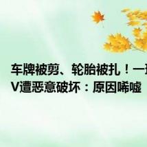 车牌被剪、轮胎被扎!一理想SUV遭恶意破坏:原因唏嘘