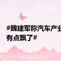 #魏建军称汽车产业现在有点飘了#
