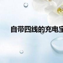 自带四线的充电宝