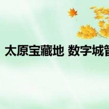 太原宝藏地 数字城管优