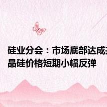 硅业分会：市场底部达成共识 多晶硅价格短期小幅反弹