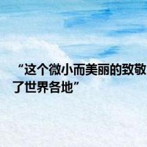 “这个微小而美丽的致敬,传遍了世界各地”