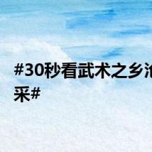 #30秒看武术之乡沧州风采#