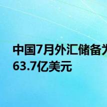中国7月外汇储备为32563.7亿美元