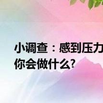 小调查：感到压力大时你会做什么?