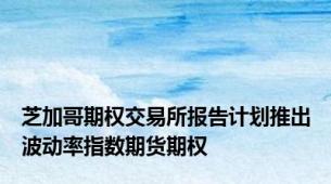 芝加哥期权交易所报告计划推出波动率指数期货期权