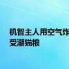 机智主人用空气炸锅烤受潮猫粮