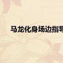 马龙化身场边指导