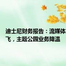迪士尼财务报告:流媒体业务起飞,主题公园业务降温