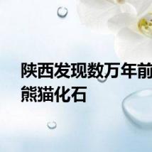 陕西发现数万年前的大熊猫化石