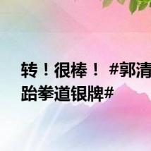 转！很棒！ #郭清女子跆拳道银牌#