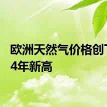 欧洲天然气价格创下2024年新高