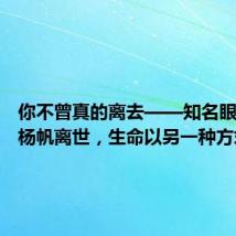 你不曾真的离去——知名眼科医生杨帆离世,生命以另一种方式延续