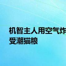 机智主人用空气炸锅烤受潮猫粮