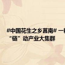 #中国花生之乡莒南# 一粒花生“链”动产业大集群