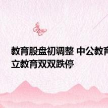 教育股盘初调整 中公教育 、昂立教育双双跌停