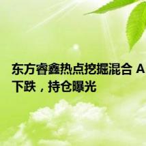 东方睿鑫热点挖掘混合 A:净值下跌,持仓曝光