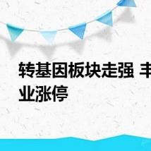 转基因板块走强 丰乐种业涨停