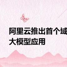 阿里云推出首个域名AI大模型应用