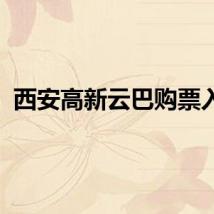 西安高新云巴购票入口