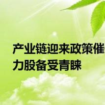 产业链迎来政策催化 电力股备受青睐