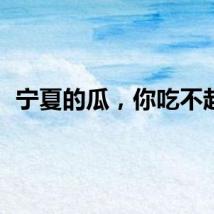 宁夏的瓜，你吃不起？