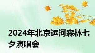 2024年北京运河森林七夕演唱会