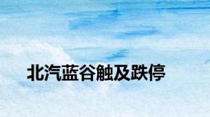 北汽蓝谷触及跌停