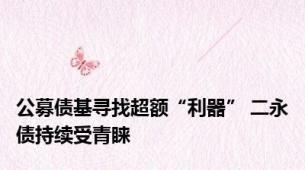 公募债基寻找超额“利器” 二永债持续受青睐