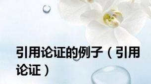 引用论证的例子（引用论证）