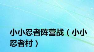 小小忍者阵营战（小小忍者村）