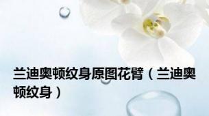 兰迪奥顿纹身原图花臂（兰迪奥顿纹身）
